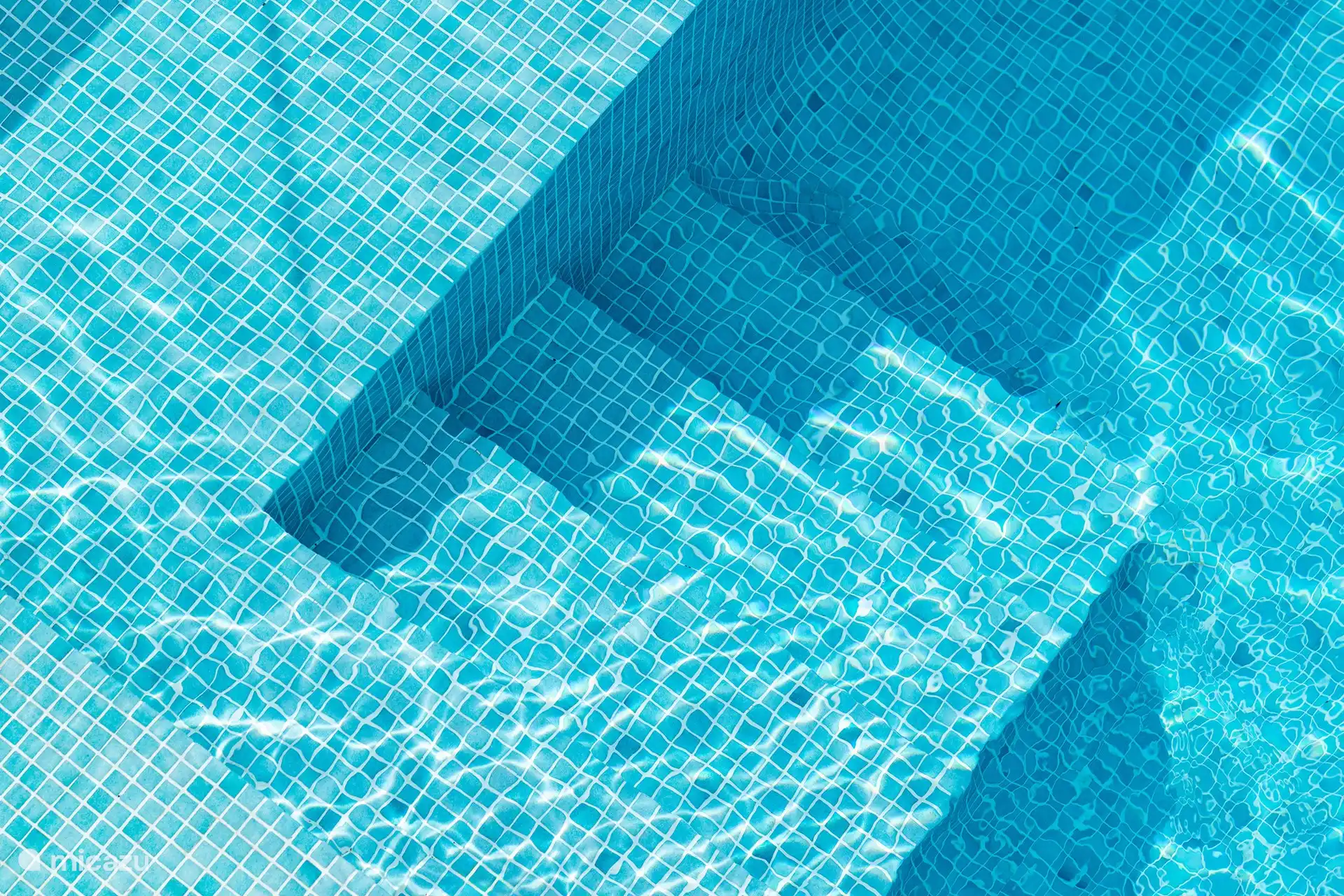 ¡Es hora de refrescarse!