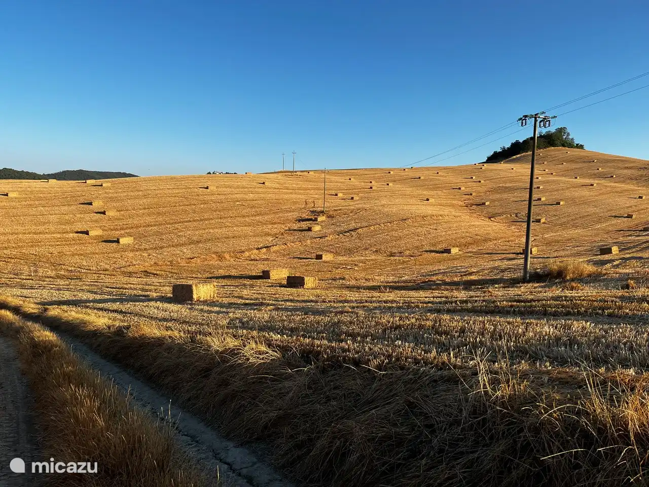 Vista sobre los campos de maíz detrás de nuestra casa.