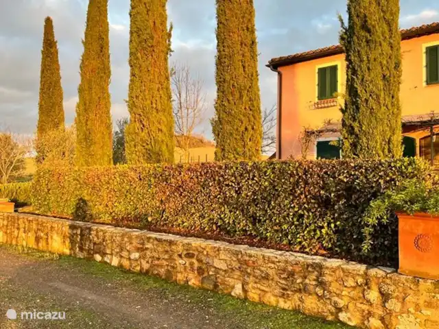 Casa dei Fiore/Montalcino/d’Orcia | Italie, Toscane, Buonconvento - maison mitoyenne Les pins traditionnels de notre jardin