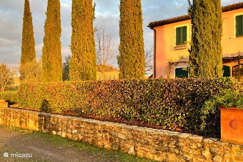 Vakantiehuis Italië, Toscane, Buonconvento Geschakelde woning Casa dei Fiore