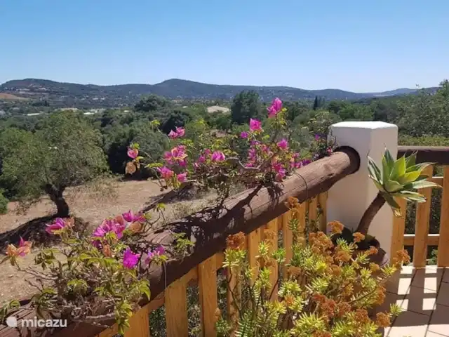 Casa Oasis  Alain Olbrechts huren in Portugal, Algarve, Santa Bárbara de Nexe - vakantiehuis Bloemen Terras