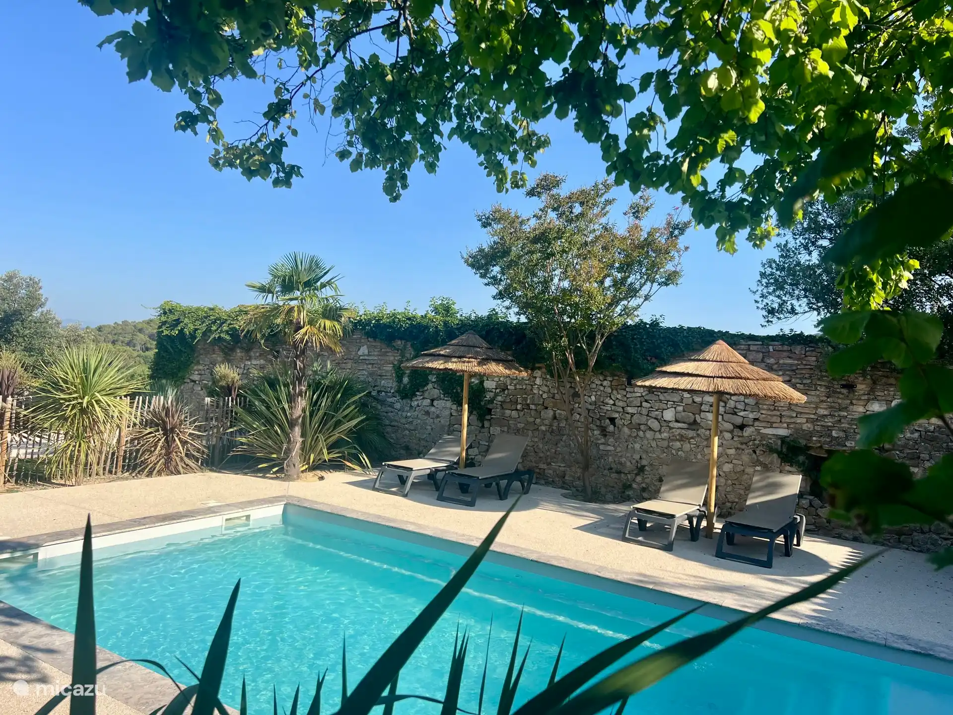 Zwembad met ligstoelen + rieten parasols