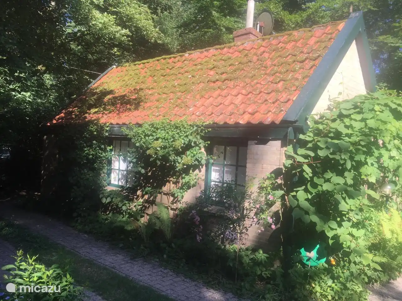 ferienhaus, Nunspeet, Gelderland, Niederlande - Unter dem Wald