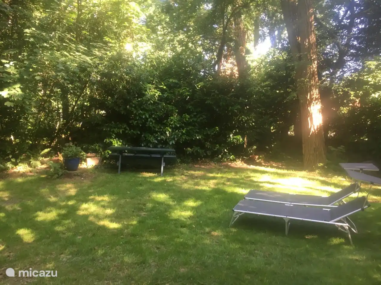 Privater sonniger Garten mit Liegestühlen und einem geräumigen Essbereich