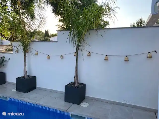 vakantiehuis huren in Spanje, Costa Brava, Empuriabrava – 6 persoons Villa Prachtige palmbomen bij het zwembad geven een heerlijk tropisch gevoel.