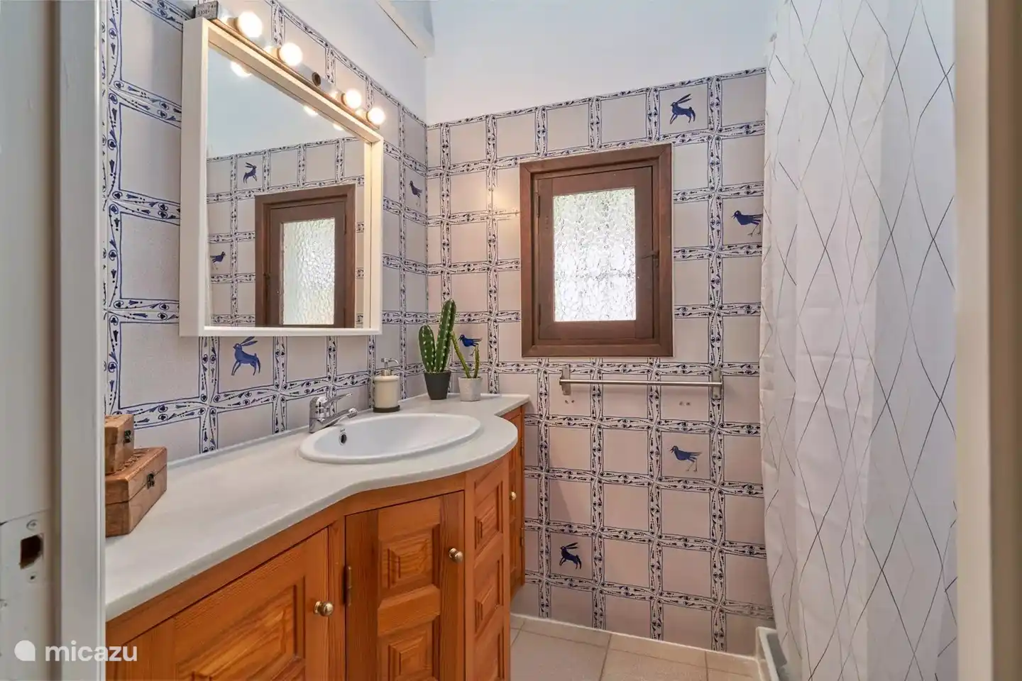 salle de bain avec douche