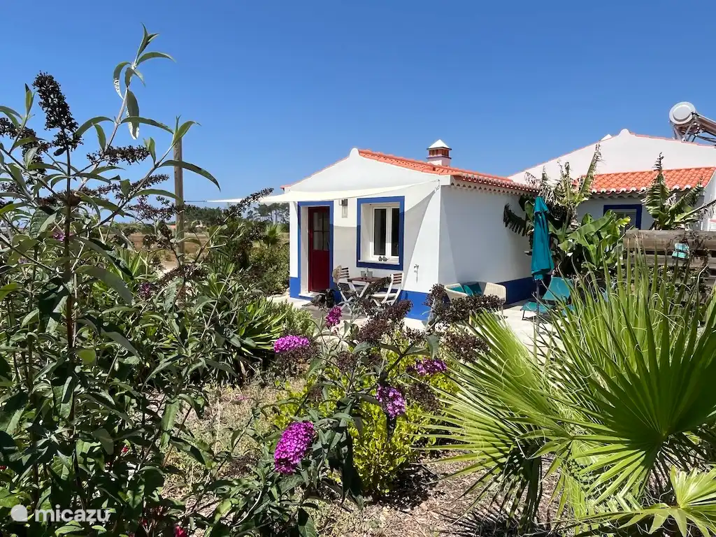 ferienhaus in Portugal – Sonne, Meer, Natur in gemütlichem Haus