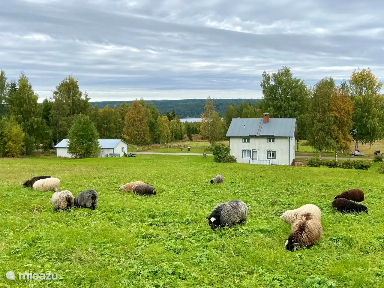Vildmarksgard Lillviken in Schweden, Jämtland, Strömsund - Ferienhaus