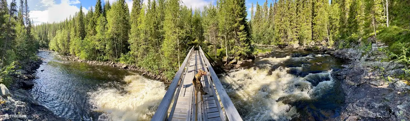 Puente sobre el río