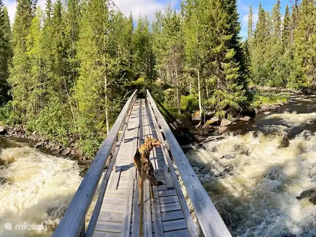 Vildmarksgard Lillviken | Suède, Jämtland, Strömsund - maison de vacances Pont sur la rivière