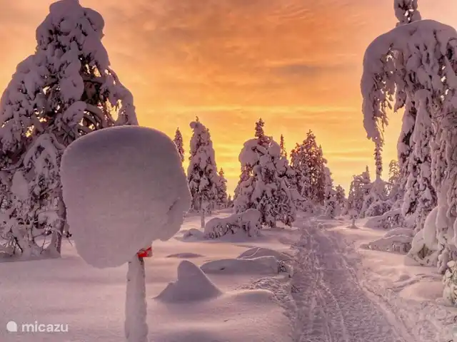 Vildmarksgard Lillviken | Suède, Jämtland, Strömsund - maison de vacances Paysage hivernal