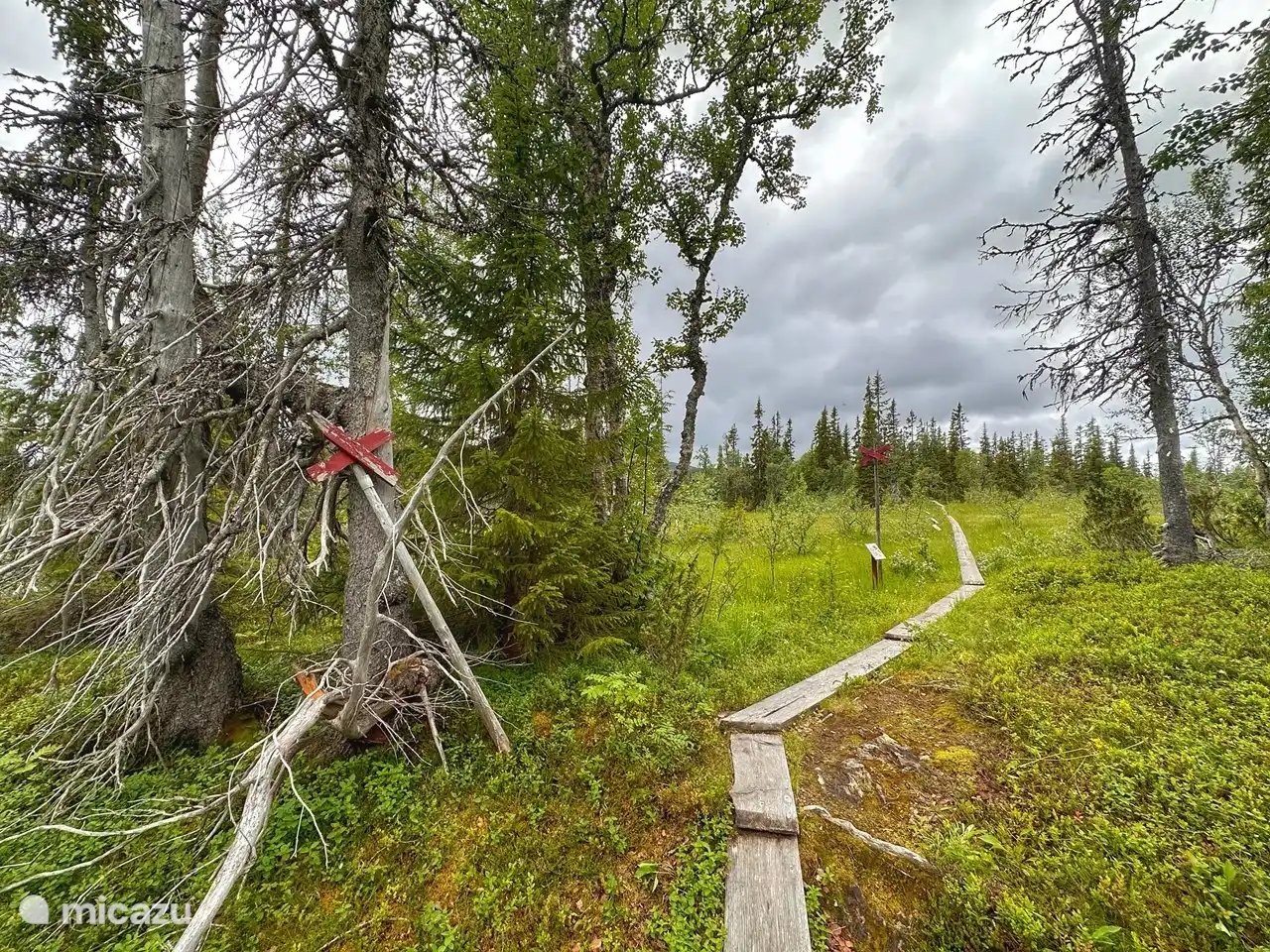 Senderismo en la montaña