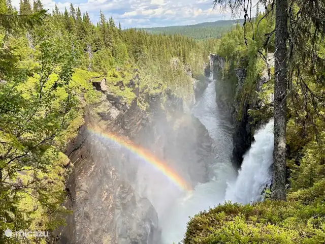 Vildmarksgard Lillviken | Suède, Jämtland, Strömsund - maison de vacances Hällingsåfallet