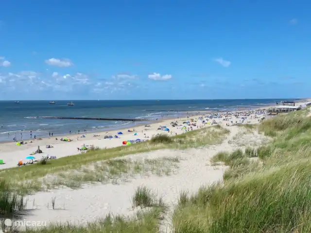 Étoile de mer 249 | Pays-Bas, Hollande du Nord, Julianadorp aan Zee - bungalow