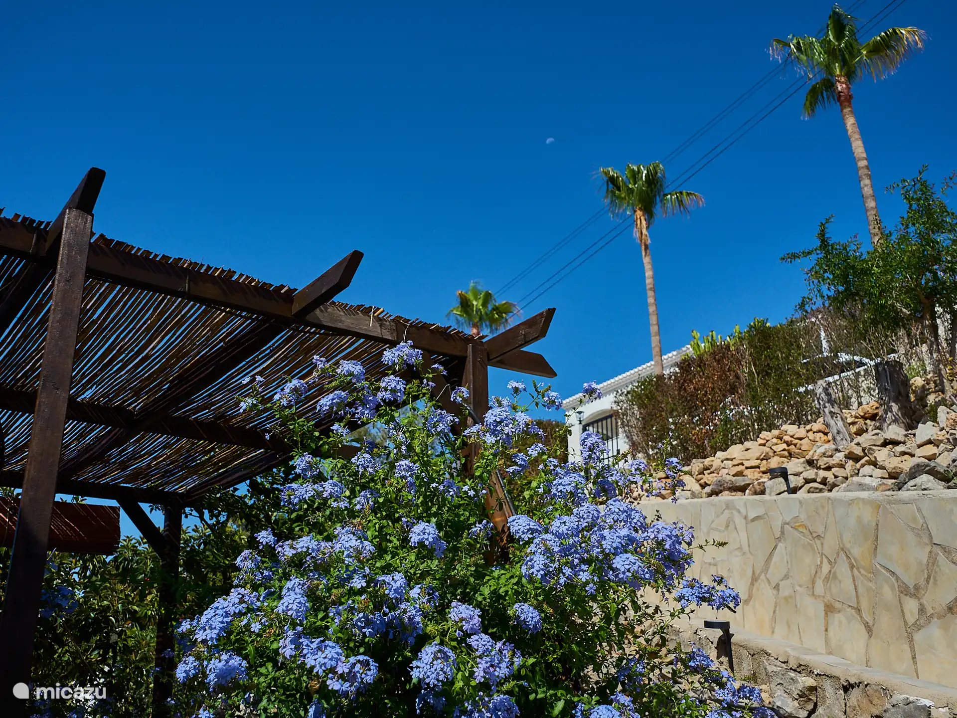 Blick von der Haustür der Casa Yavari
Von der Haustür aus blickst du auf das höhere Tor. Auf der linken Seite sehen Sie die Pergola im Ibiza-Stil mit zwei schwarzen Ibiza-Lampen, die von üppigen Blumen umgeben sind. Ebenfalls zu sehen ist der Grill, der perfekt in diesen attraktiven Außenbereich integriert ist.