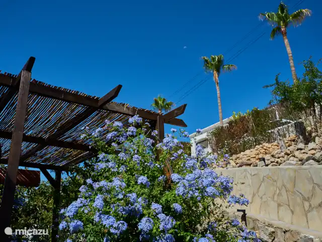 Casa Yavari en España, Costa Blanca, Pedreguer  - villa Vista desde la puerta principal de Casa Yavari
Desde la puerta principal se mira hacia la puerta superior. A la izquierda, se puede ver la pérgola de estilo ibicenco con dos lámparas negras ibicencas, rodeadas de exuberantes flores. También es visible la barbacoa, perfectamente integrada en este atractivo espacio exterior.