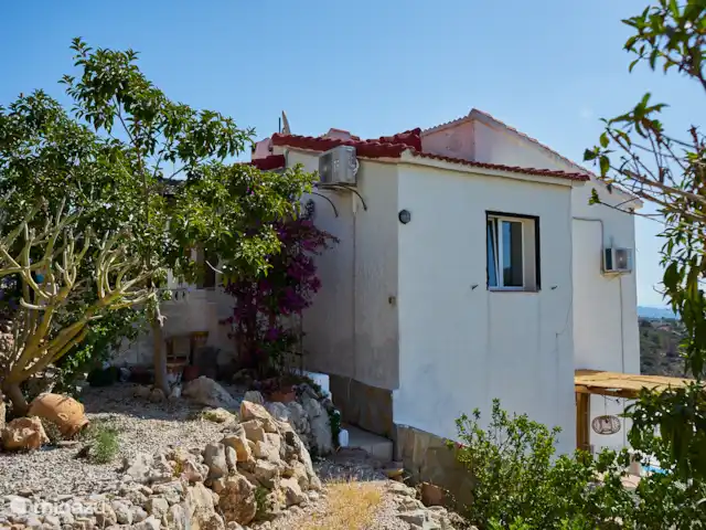 Casa Yavari en España, Costa Blanca, Pedreguer  - villa Bajando los escalones de la piscina privada de Casa Yavari
A ambos lados de la villa, unos escalones de piedra conducen a la piscina privada con amplias vistas. A lo largo del camino, pasa por nuestro jardín en cascada con grava blanca, varios cactus y muchas palmeras, lo que crea una maravillosa sensación de vacaciones en el sur de Europa.