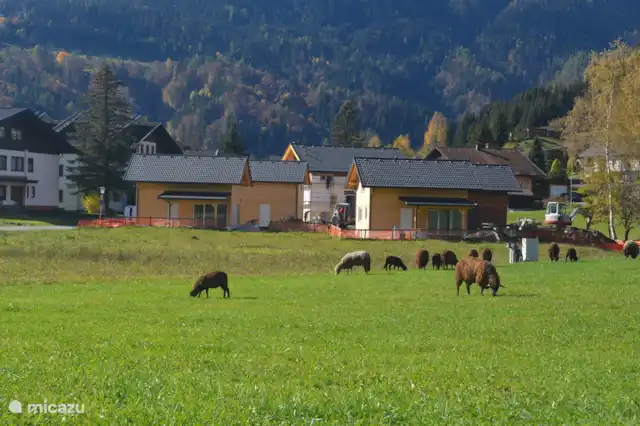 Vakantiehuis Oostenrijk, Karinthië, Kötschach-Mauthen vakantiehuis Dijkstra's Cottage aan de piste