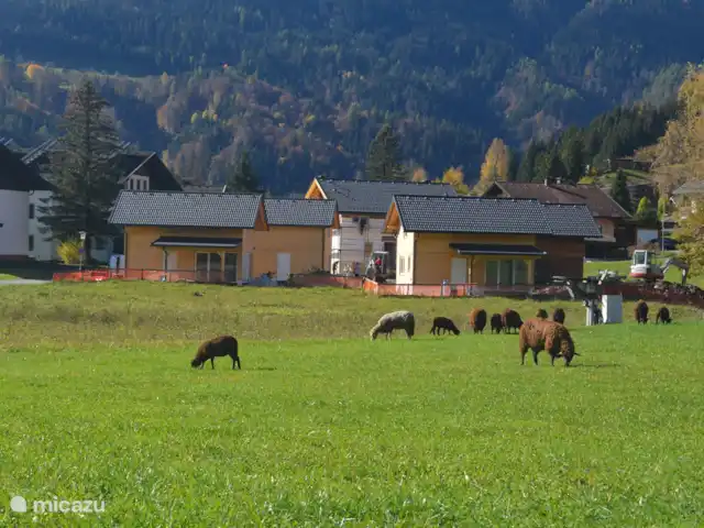 La cabaña de Dijkstra en las pistas en Austria, Carintia, Kötschach-Mauthen - casa vacacional