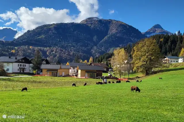 Vakantiehuis Oostenrijk, Karinthië, Kötschach-Mauthen vakantiehuis Dijkstra's Cottage aan de piste