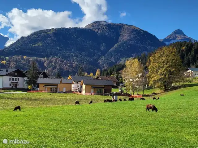 La cabaña de Dijkstra en las pistas en Austria, Carintia, Kötschach-Mauthen - casa vacacional