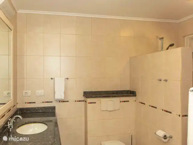 Plage Lechi 9 | Bonaire, Bonaire, Kralendijk - appartement Salle de bain 1