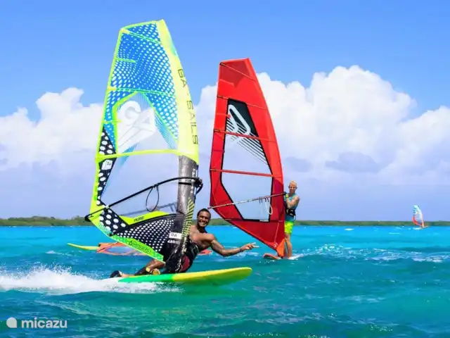 Plage Lechi 9 | Bonaire, Bonaire, Kralendijk - appartement Planche à voile à Lac Bay