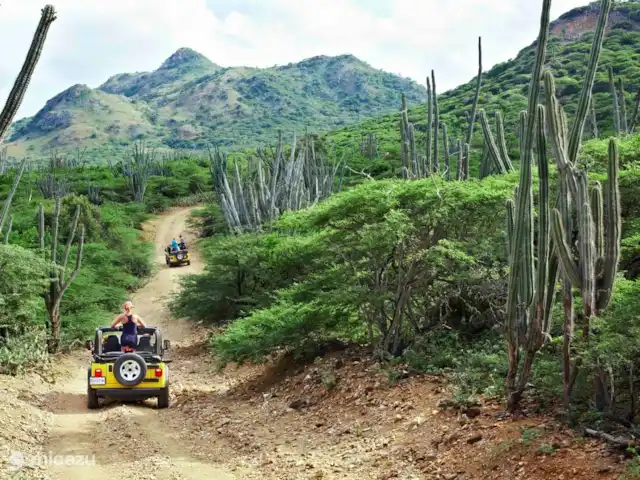 Plage Lechi 9 | Bonaire, Bonaire, Kralendijk - appartement Une excursion d'une journée au parc national de Slagbaai en vaut vraiment la peine