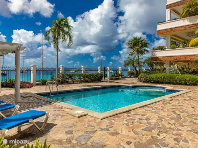 Plage Lechi 9 | Bonaire, Bonaire, Kralendijk - appartement Piscine commune