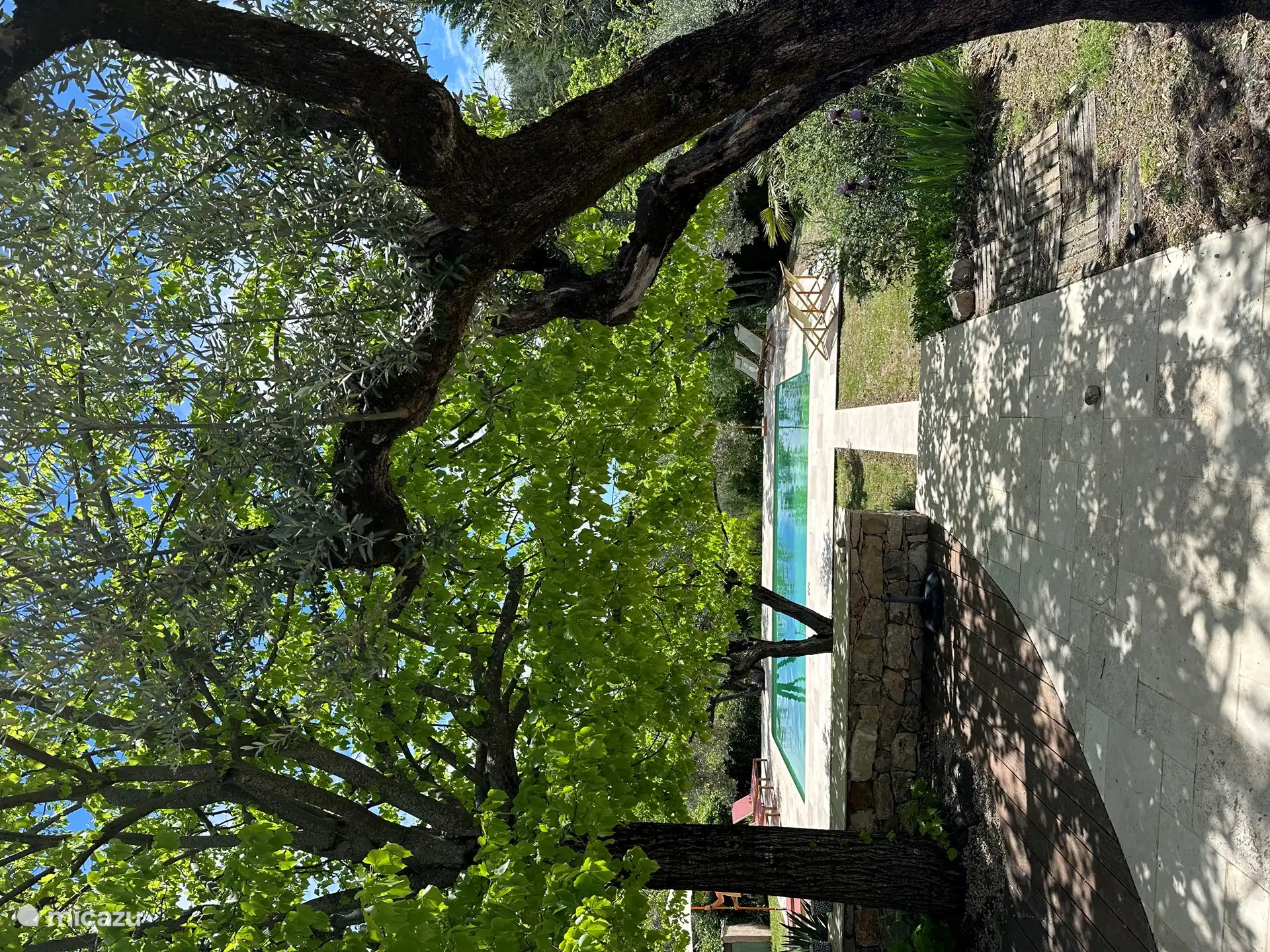 Blick vom Haus auf den Pool