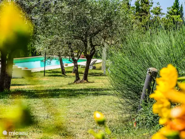 Maison du sud de la Toscane avec piscine privée | Italie, Toscane, Rigomagno - villa