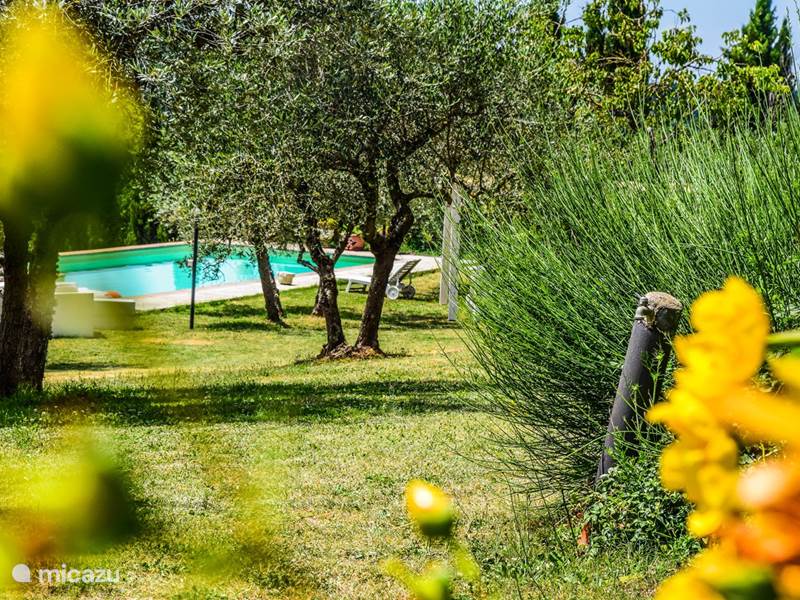 Casa vacacional Italia, Toscana, Rigomagno Villa Casa con piscina privada, jardín cerrado.