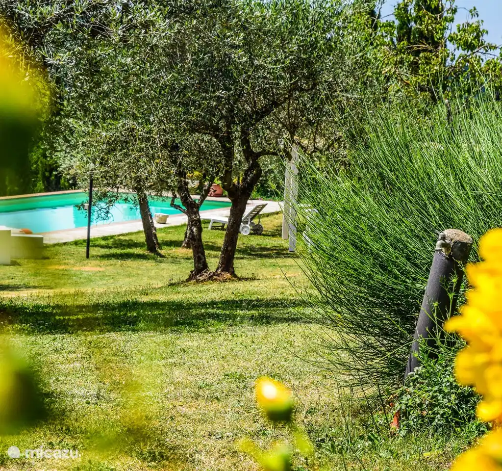 Zuid Toscane Huis met privé zwembad