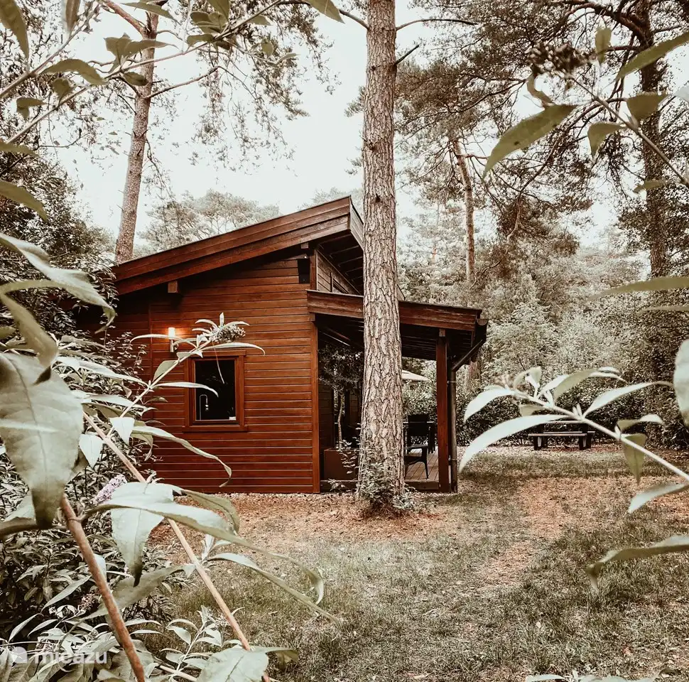 Boshuisje de Tjiftchaff in Niederlande, Gelderland, Emst - Blockhütte / Lodge