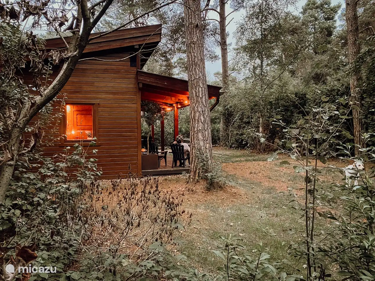 Boshuisje de Tjiftchaff in Niederlande, Gelderland, Emst - Blockhütte / Lodge