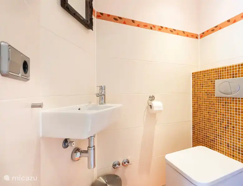 Separate toilet upstairs.