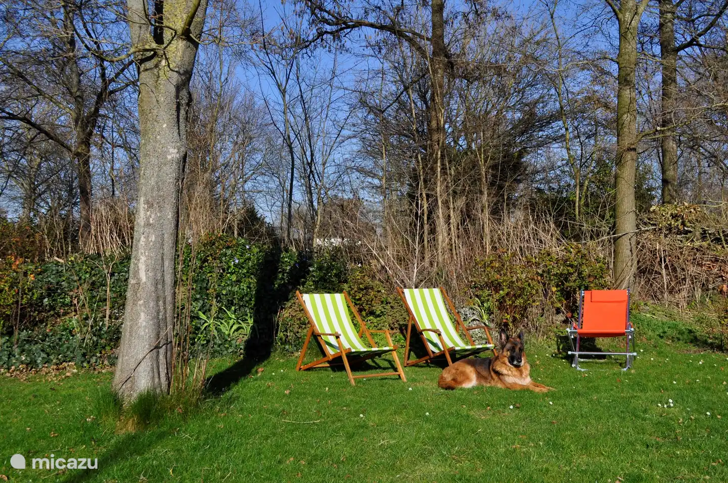 Geschützter Platz im Garten