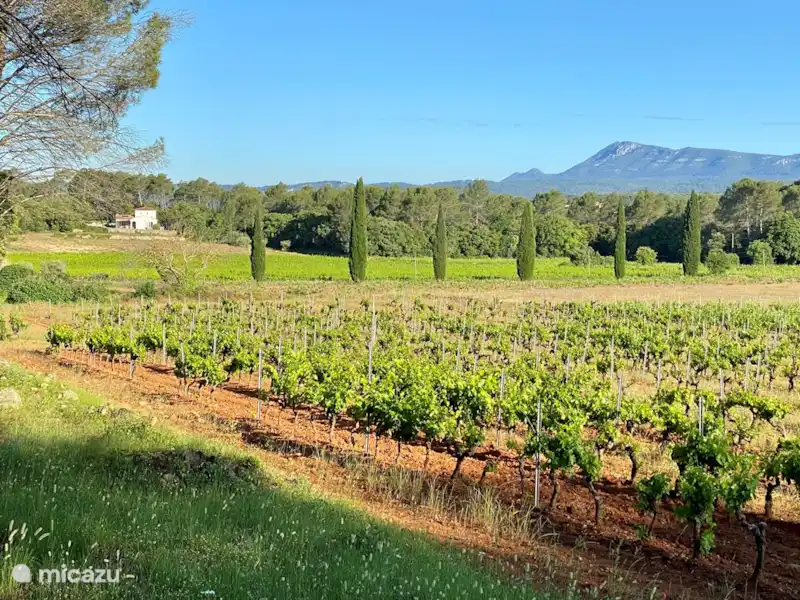Villa Jolivu | France, Var, Carcès - Villa Villa Jolivu | France, Var, Carcès - Villa