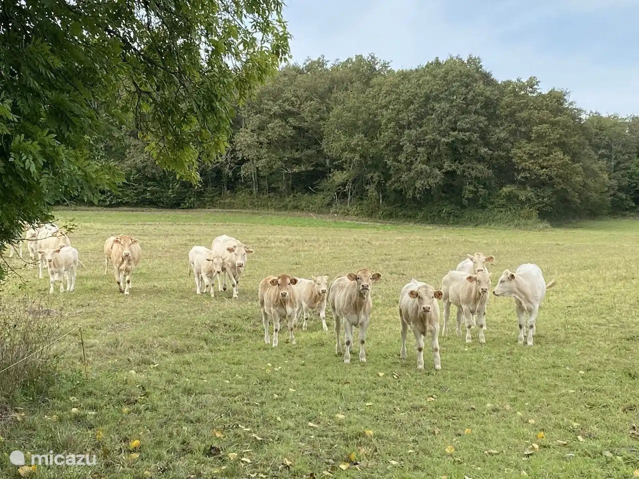 Randonnée dans la région