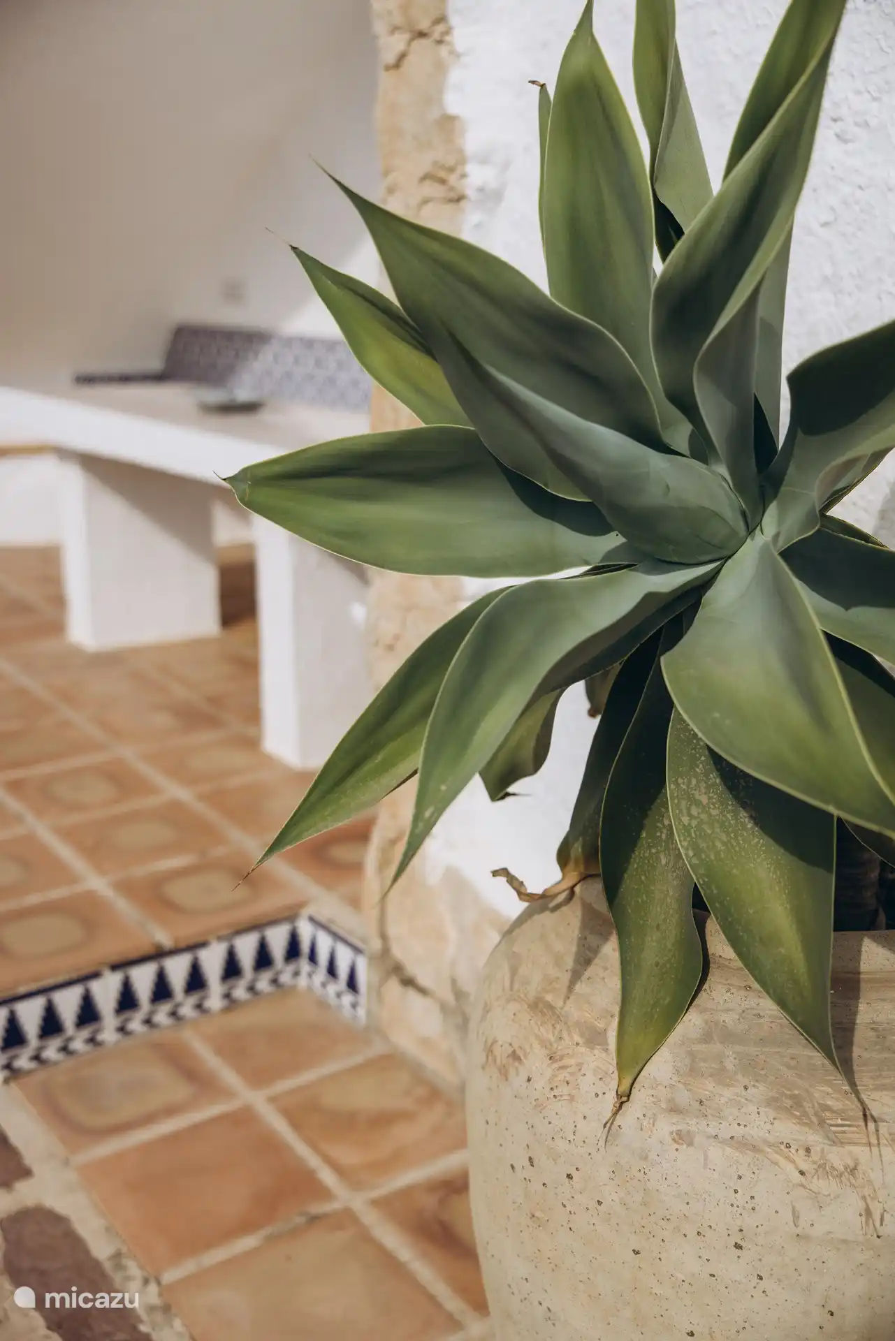 Spacious living room