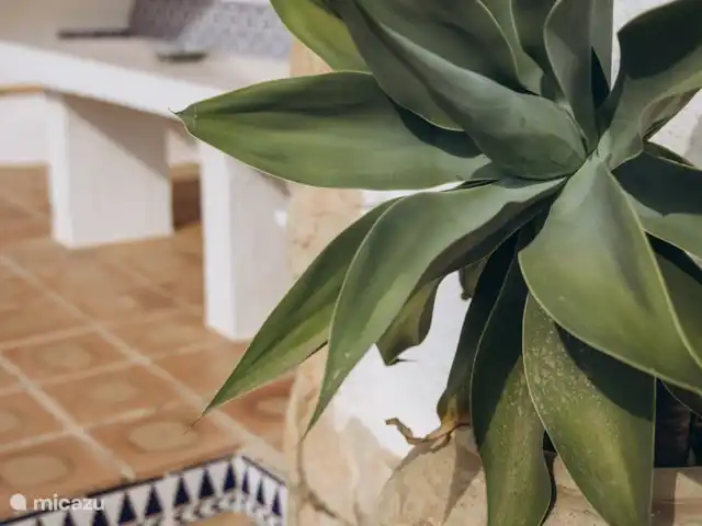 Villa Casa Arthuro | Espagne, Costa Blanca, Benissa - villa Salon spacieux