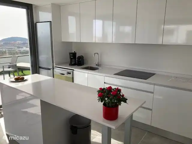 Los dos amigos en España, Costa Blanca, Finestrat - apartamento una cocina abierta con todos los adornos