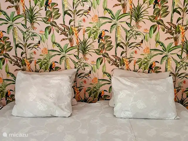 Abaai - B&B 2 bedrooms with kitchen in Curaçao, Curacao-Middle, Julianadorp - bed & breakfast