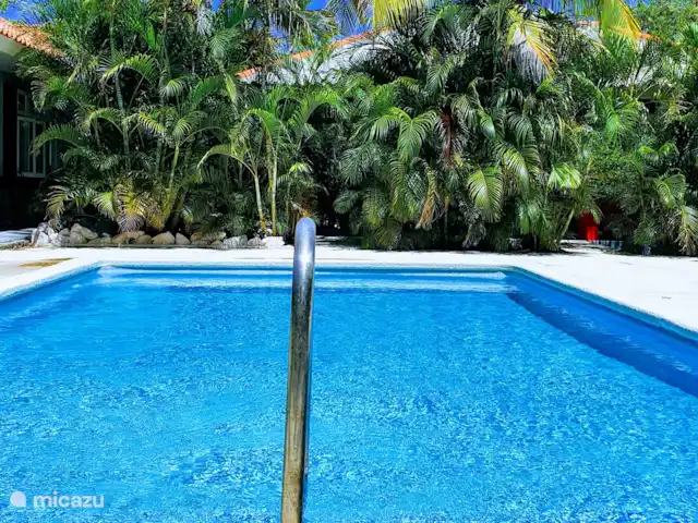 Abaai - B&B 2 bedrooms with kitchen in Curaçao, Curacao-Middle, Julianadorp - bed & breakfast