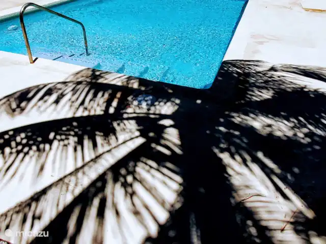 Abaai - B&B 2 bedrooms with kitchen in Curaçao, Curacao-Middle, Julianadorp - bed & breakfast