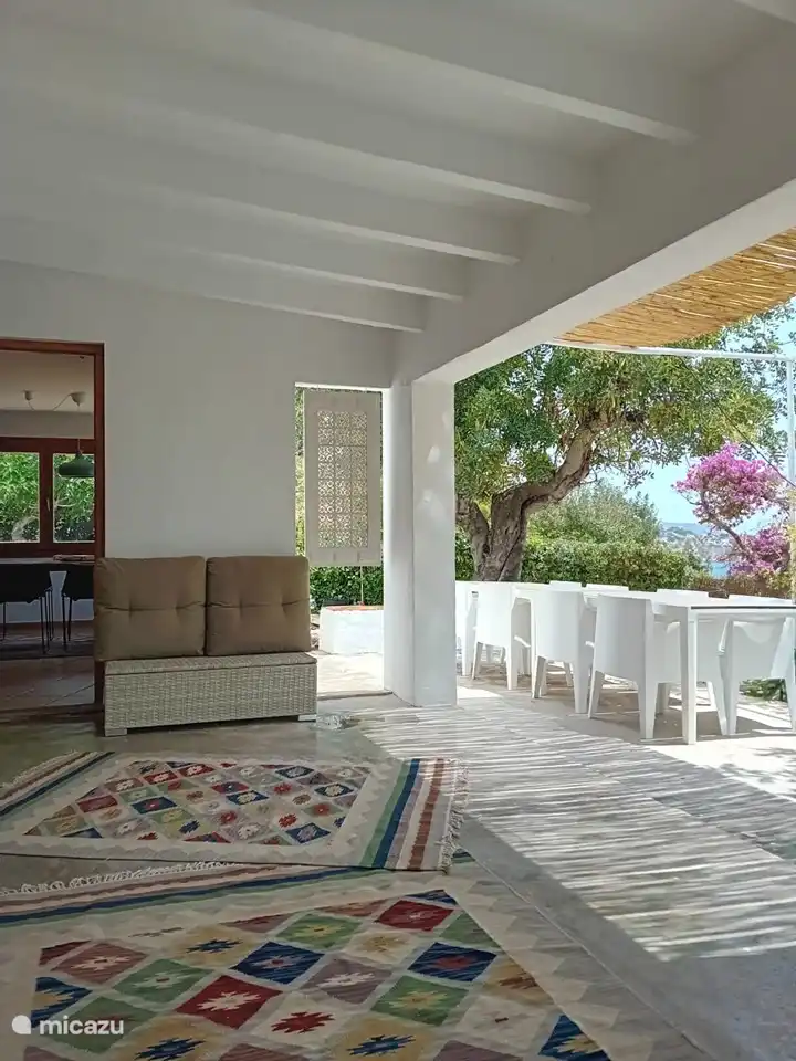 Nice and seedy in peace.