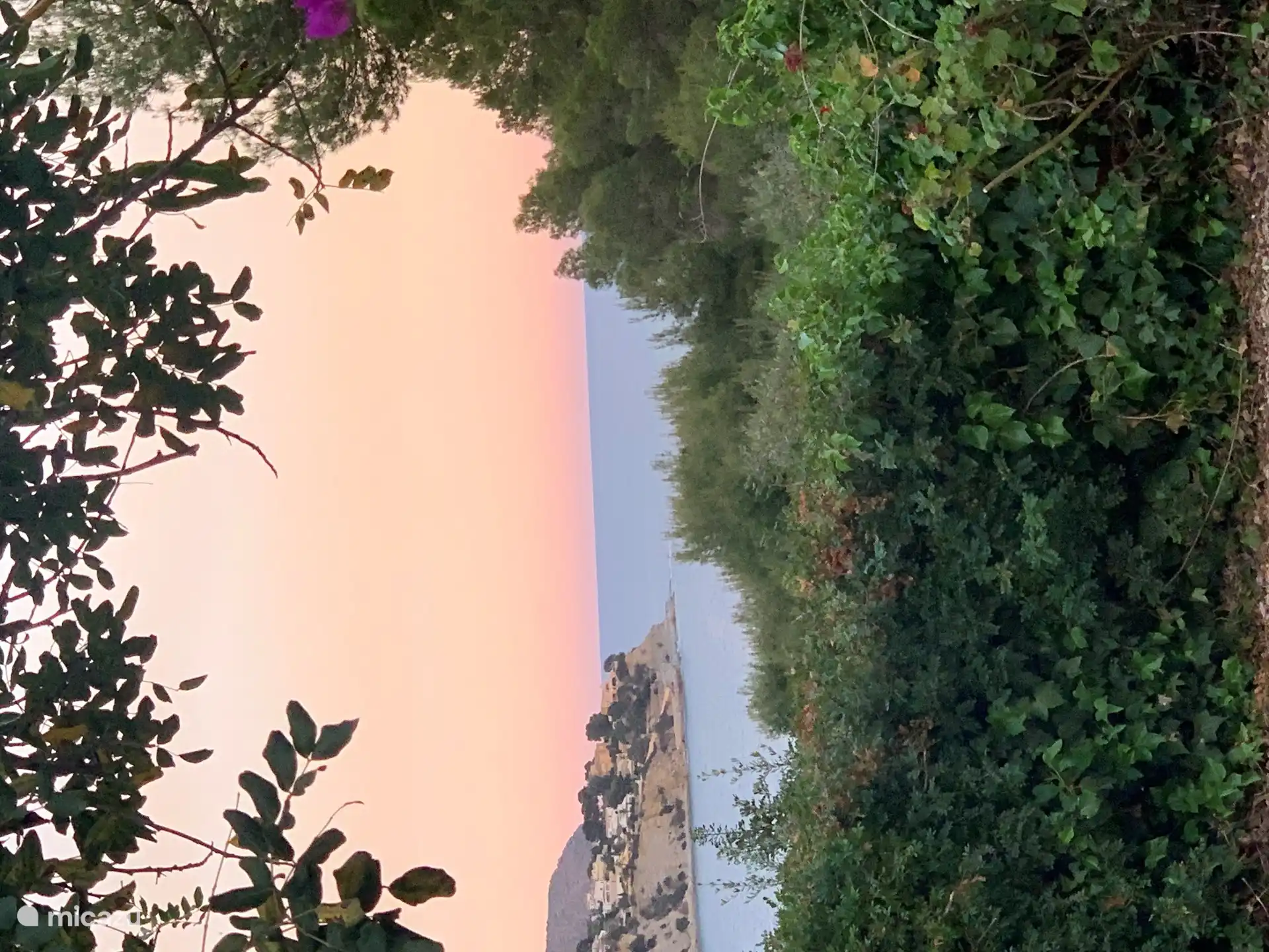 The view with sunset