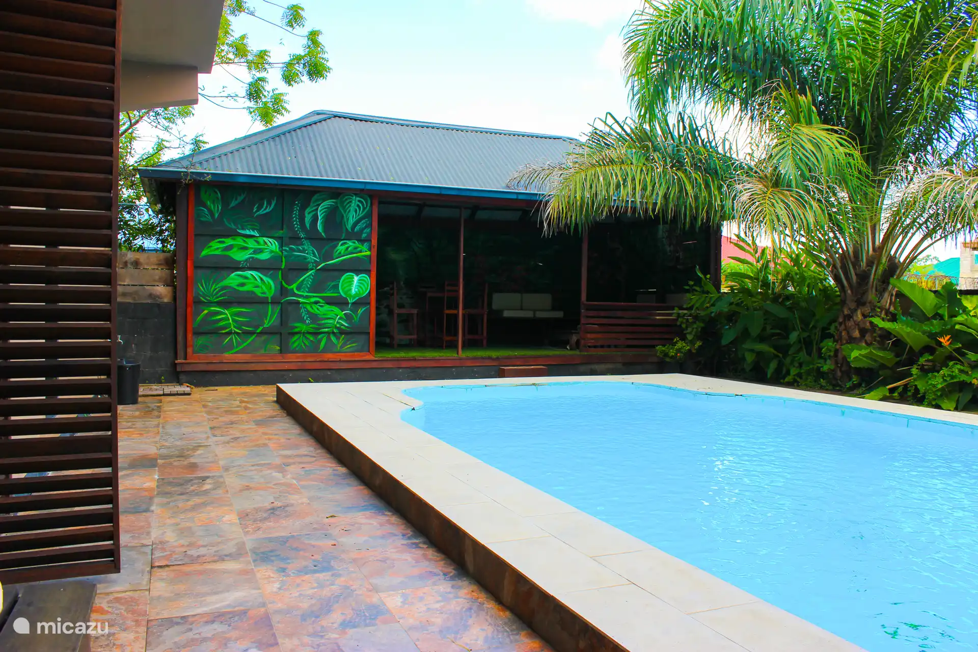 Piscine de 8 par 4 mètres avec cabane et transats 