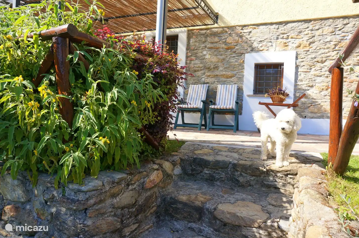 Los perros son bienvenidos. Por favor, díganos cuándo los trae con usted