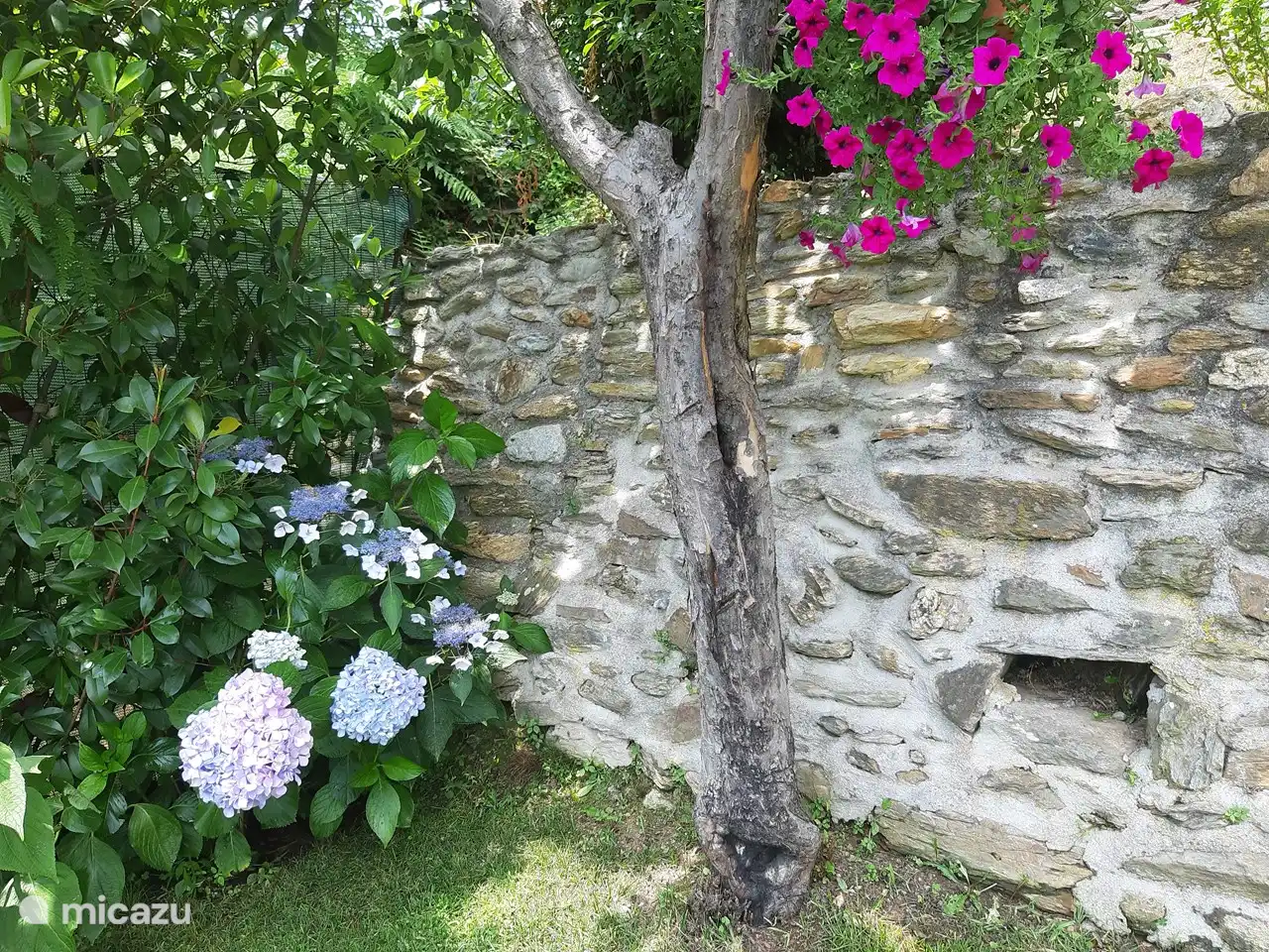 Lugar Tranquilo y Atmosférico